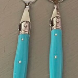 Laguiole French Stainless Steel 2 piece Blue Utensils for Children