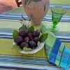 French Tablecloth Adour Anis Laminated Wipe off - Image 2