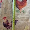 French Rooster Plume - Image 2